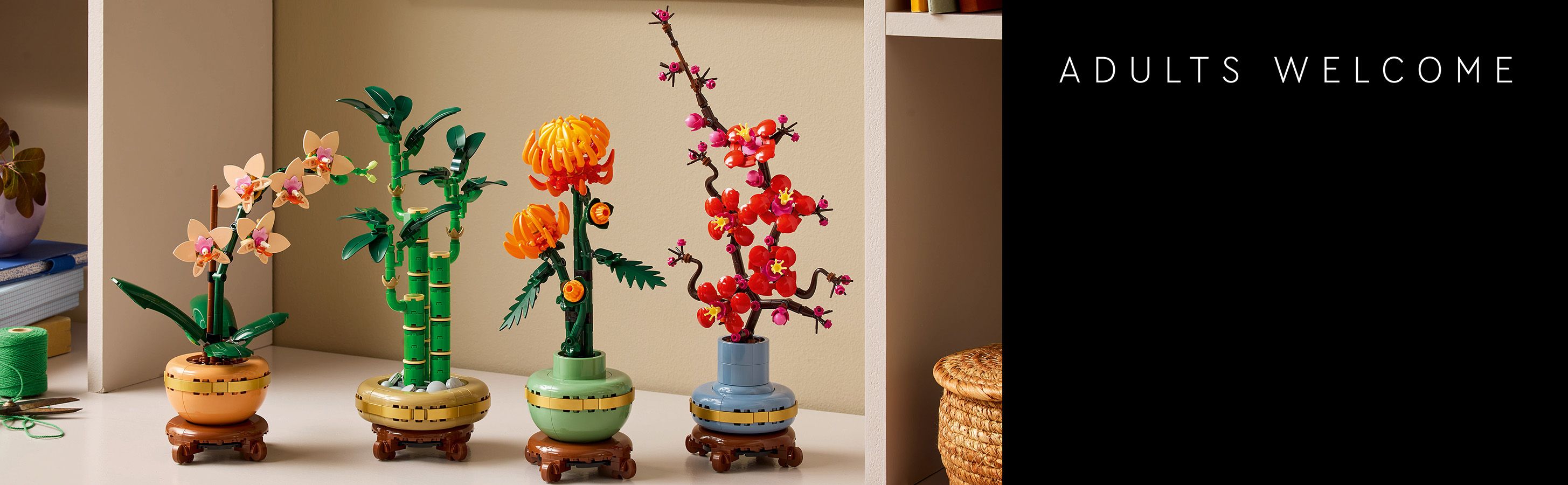 10344_10343_10368_10369_IntheBox