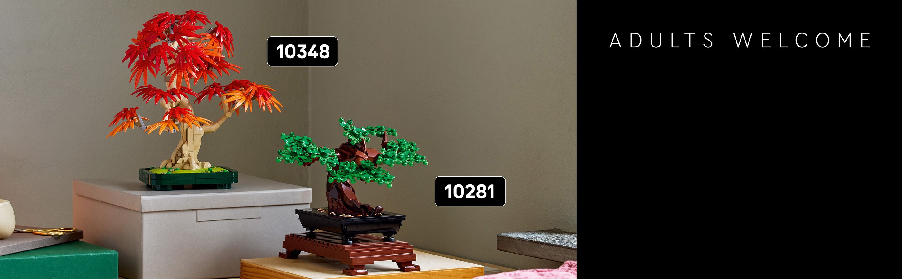 10348_10281_IntheBox