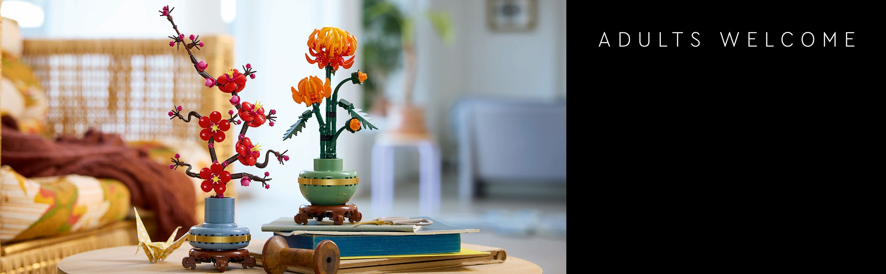 10368_10369_IntheBox