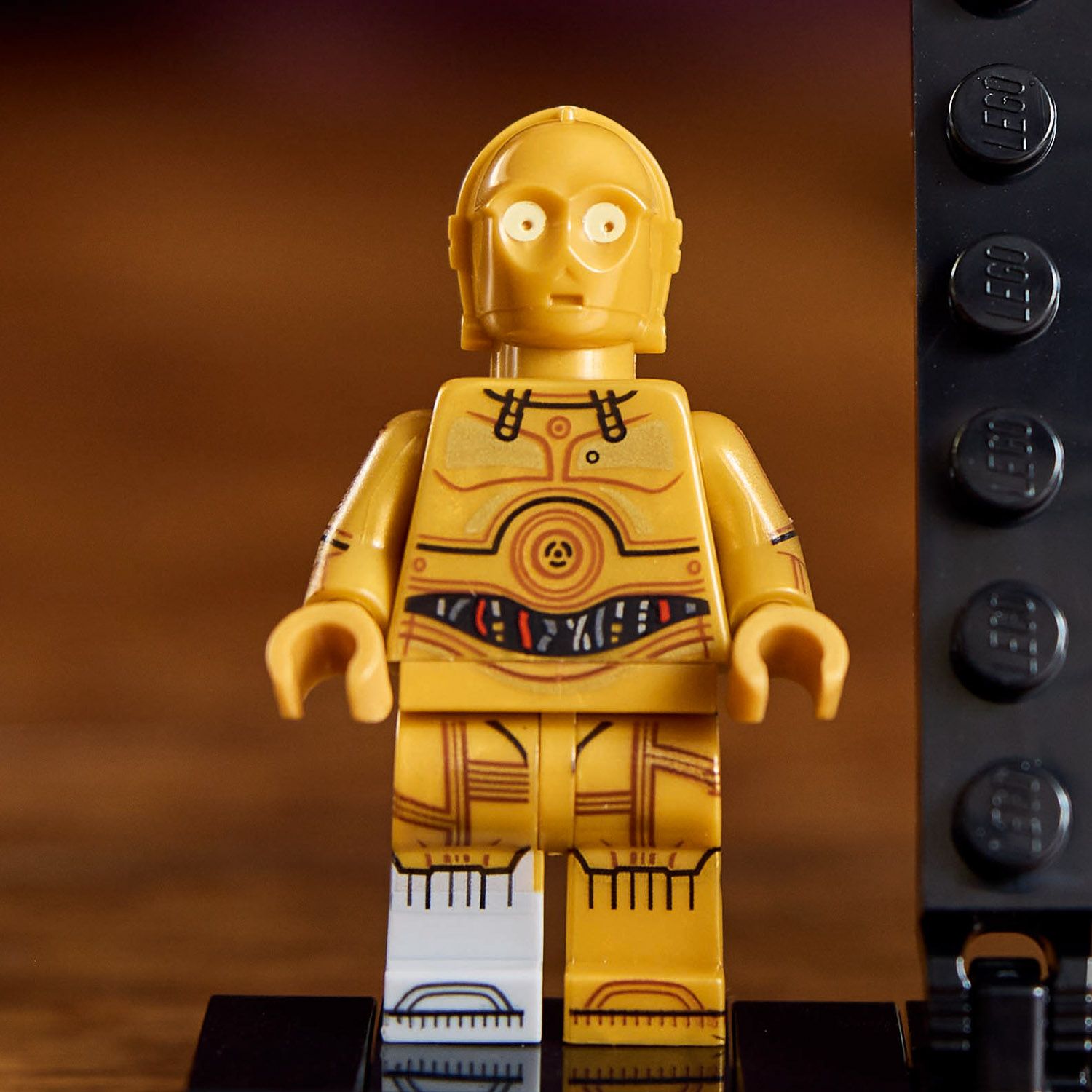 75398_Feature2